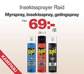 Raid exkl