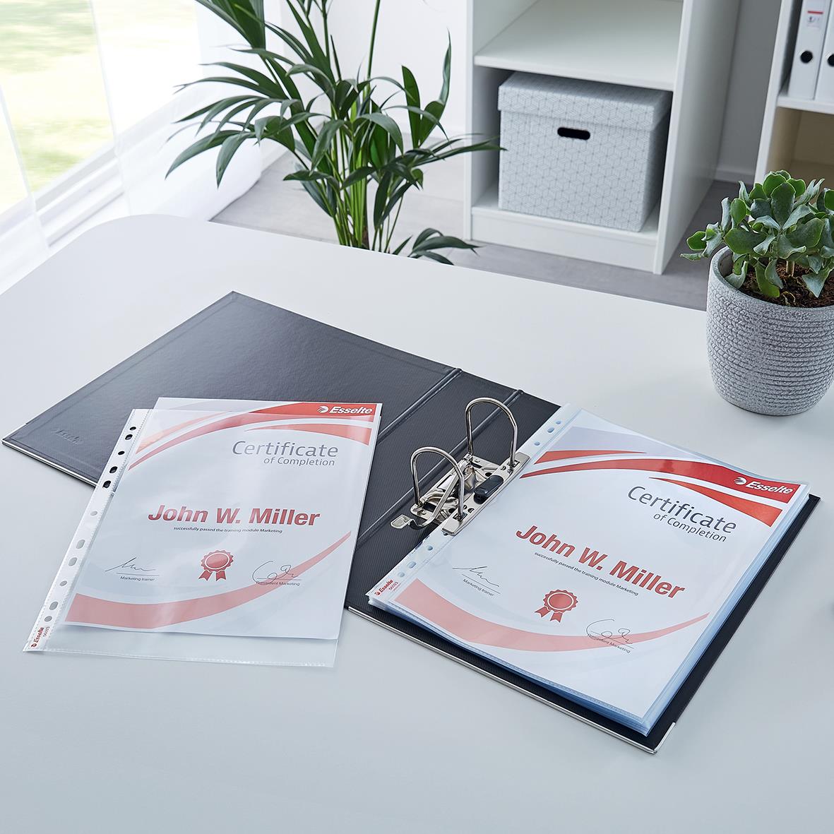 Klar plastficka med certifikatdokument och binders på skrivbord i kontorsmiljö