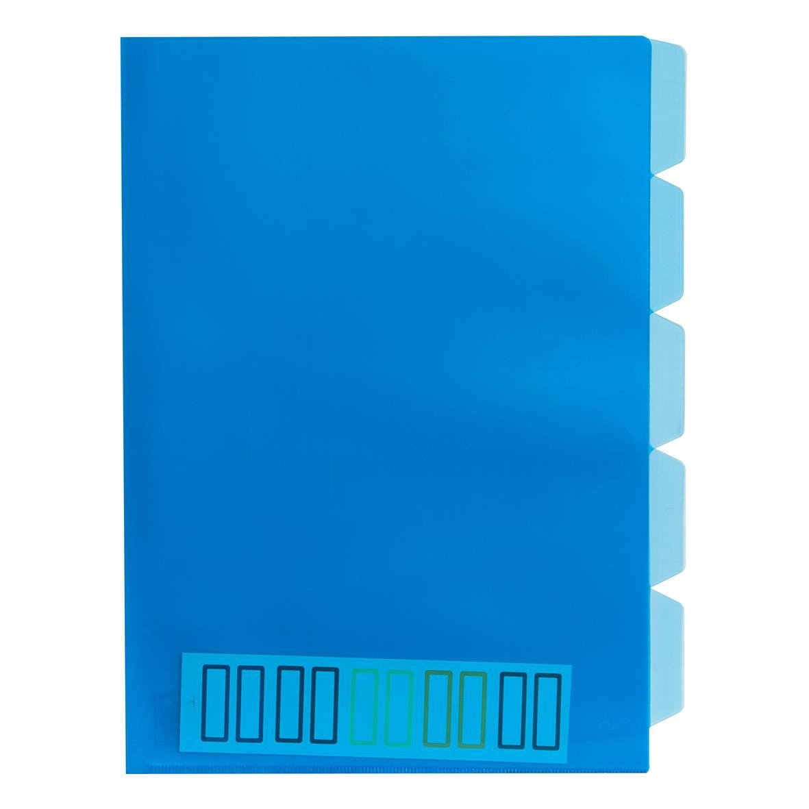 Blå plastdokumentmapp med fem flikar
