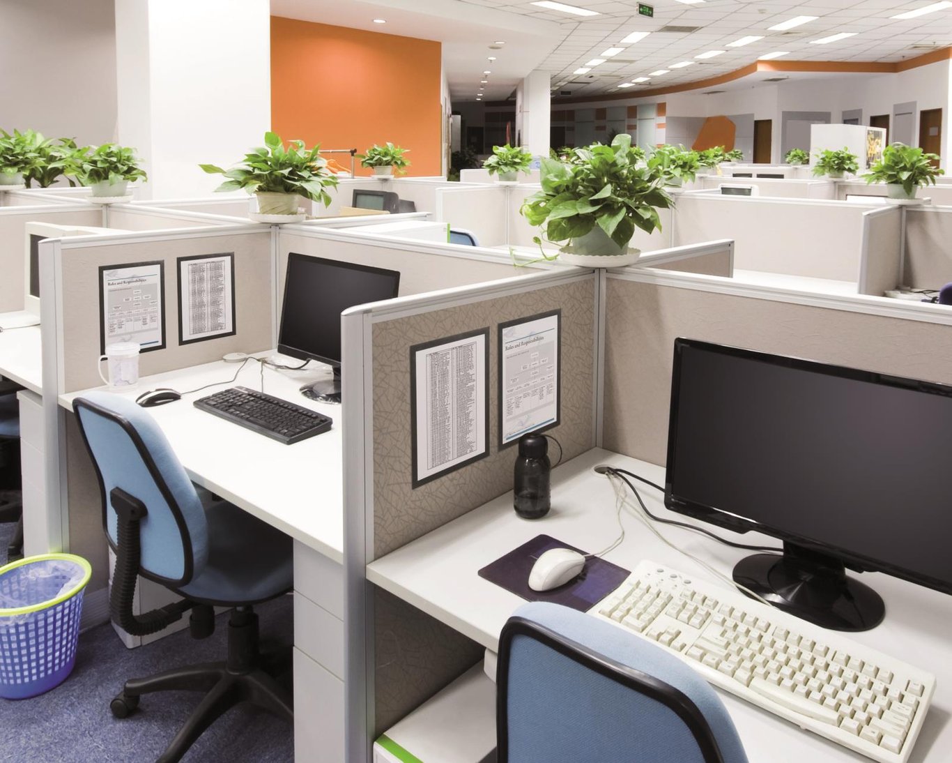 Kontorslandskap med flera arbetsstationer, datorer och växter i bakgrunden