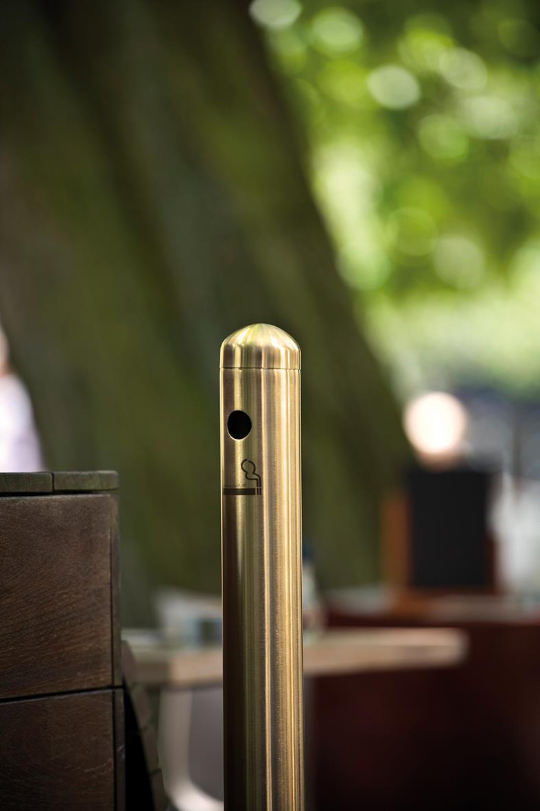 Stående guldaskkoppsset med säkerhetsfunktion utomhus, bakgrund av gröna träd och bokeh-effekt