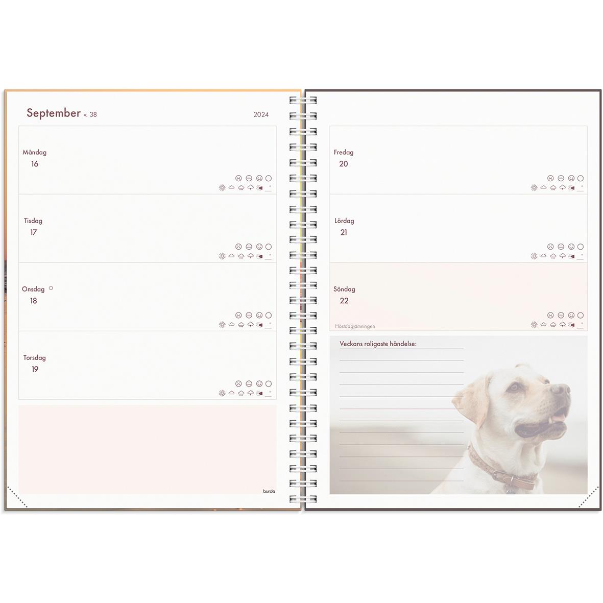 Almanacka Burde 1216 Hundkalendern 2024 A5 16011245_2