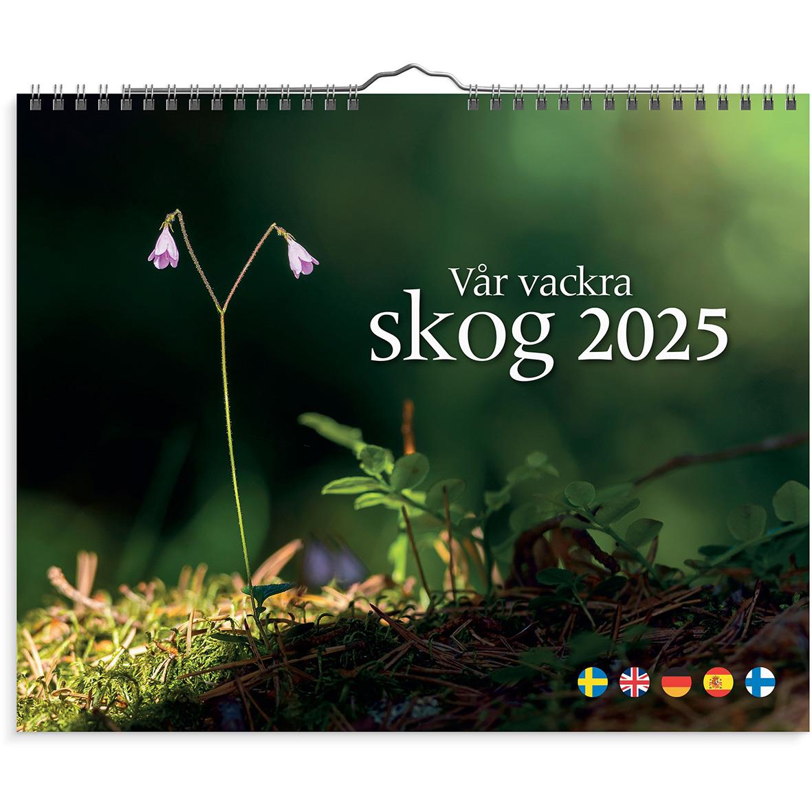 Väggkalender Burde 1735 Vår vackra skog 2024