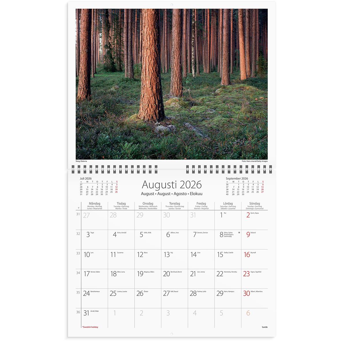 Väggkalender för 2026 med bild av en skog med tallträd och grön mark