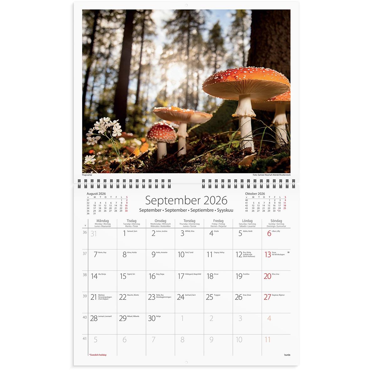 Väggkalender med skogsmotiv och svamp för september 2026