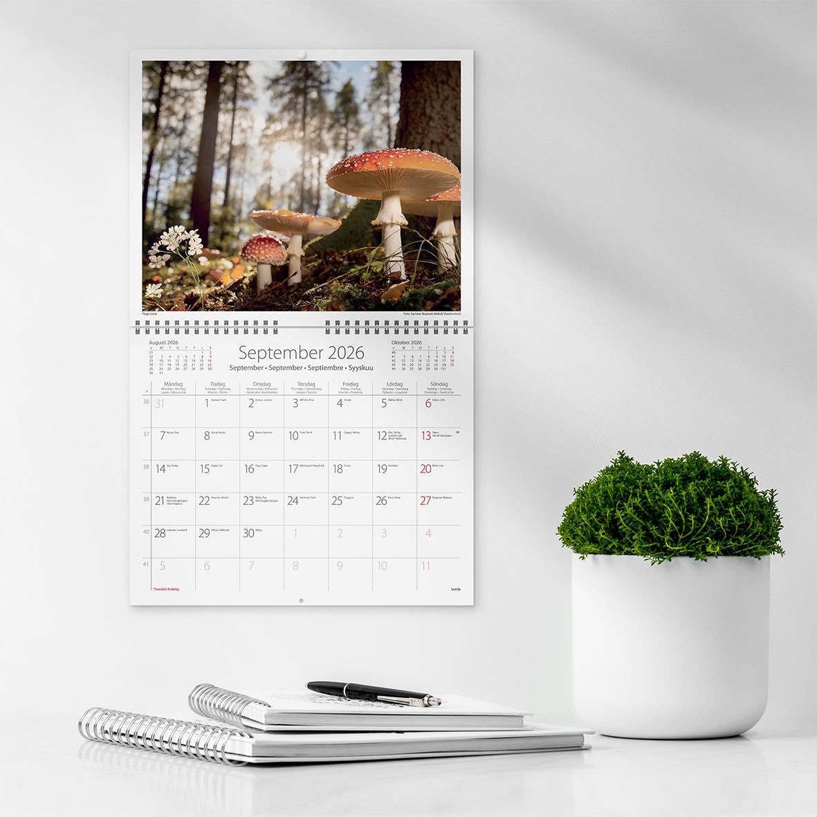 Väggkalender för september 2026 med skogsmotiv och svamp, hängande på vit vägg bredvid skrivbord med anteckningsblock och penna