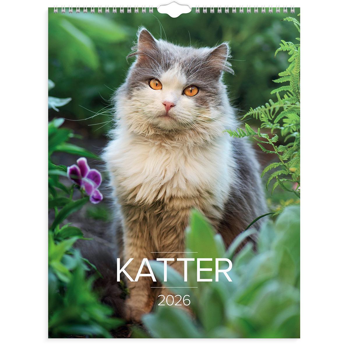 Väggkalender med bild av en grå och vit katt bland gröna växter för 2026