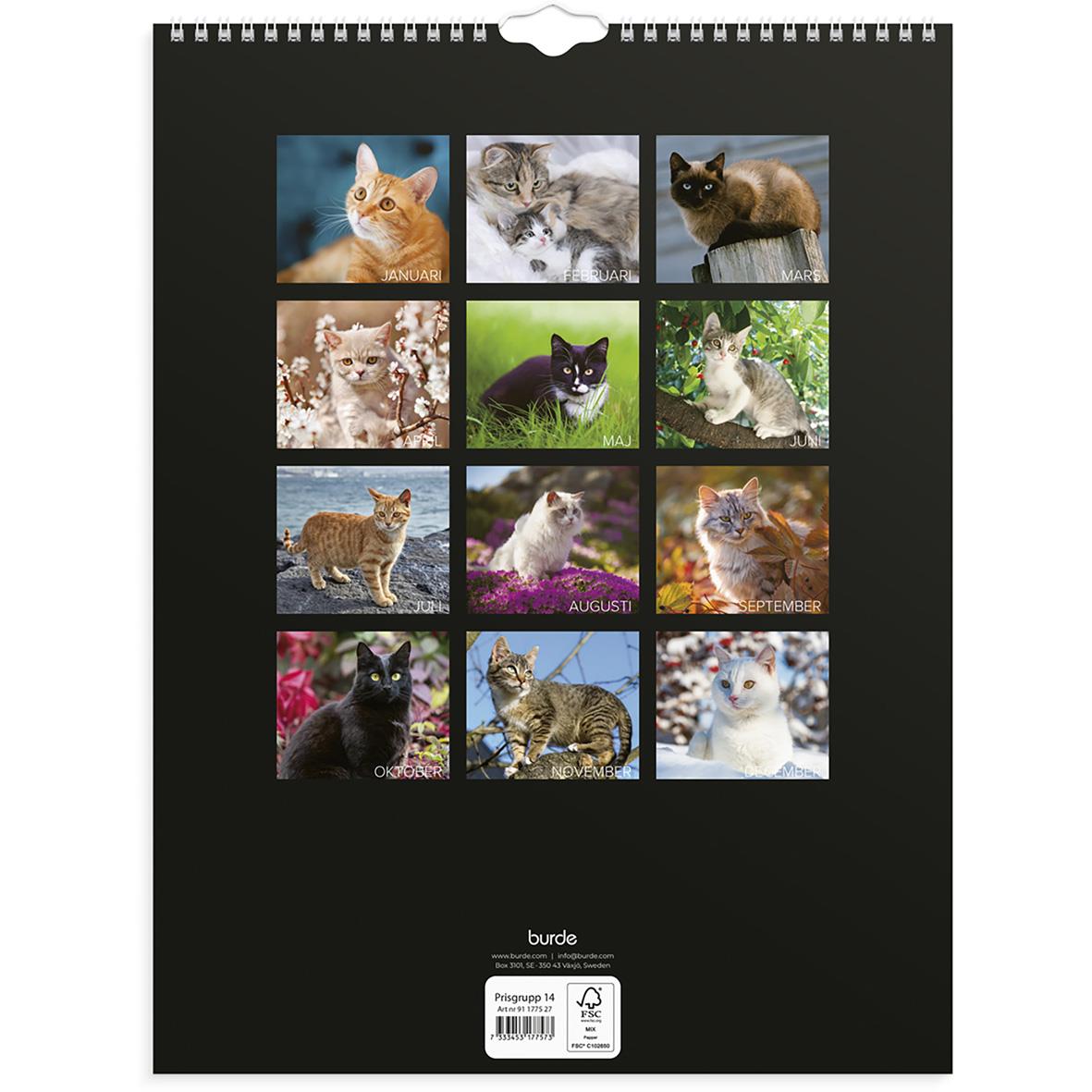 Väggkalender med kattbild för oktober 2026 på en vit vägg bredvid växt och skrivbord
