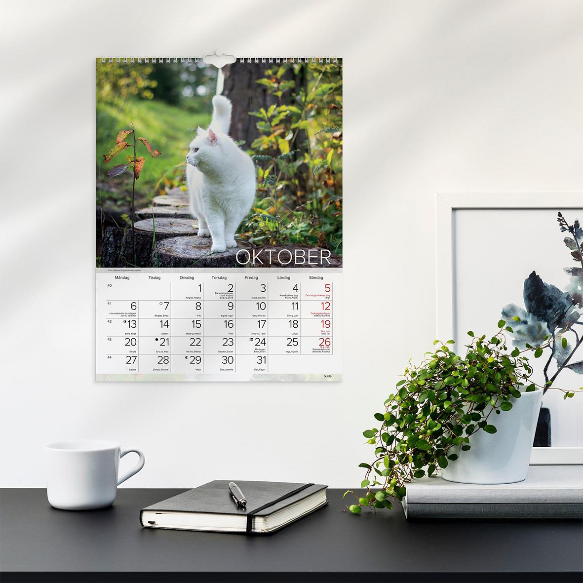 Väggkalender med kattbild för oktober 2026 på en vit vägg bredvid växt och skrivbord