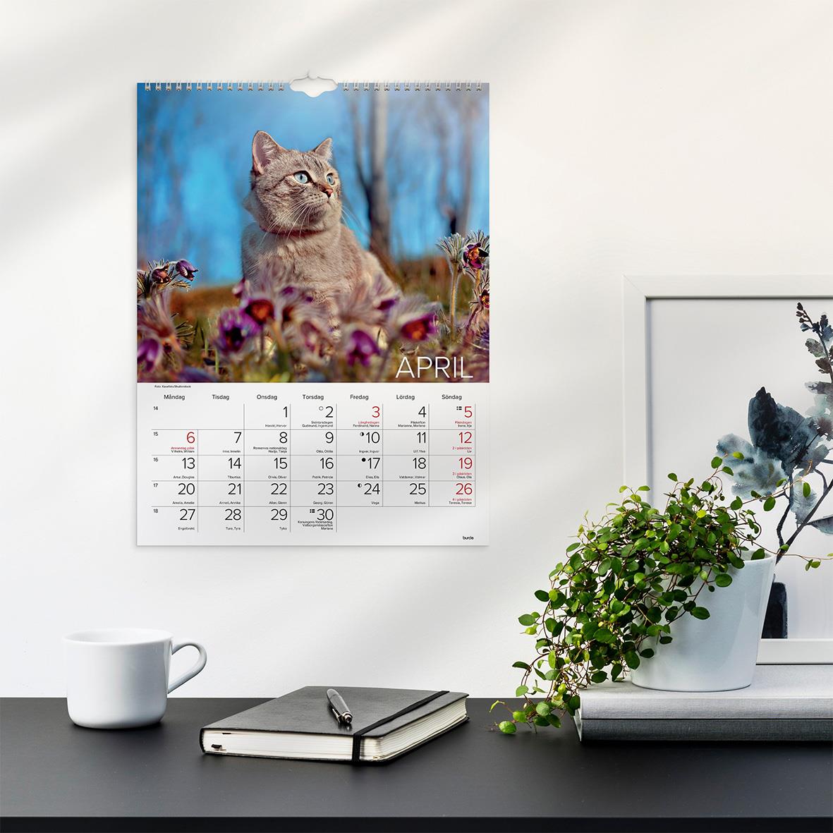Väggkalender Burde 1775 Katter 2026 16030230_5