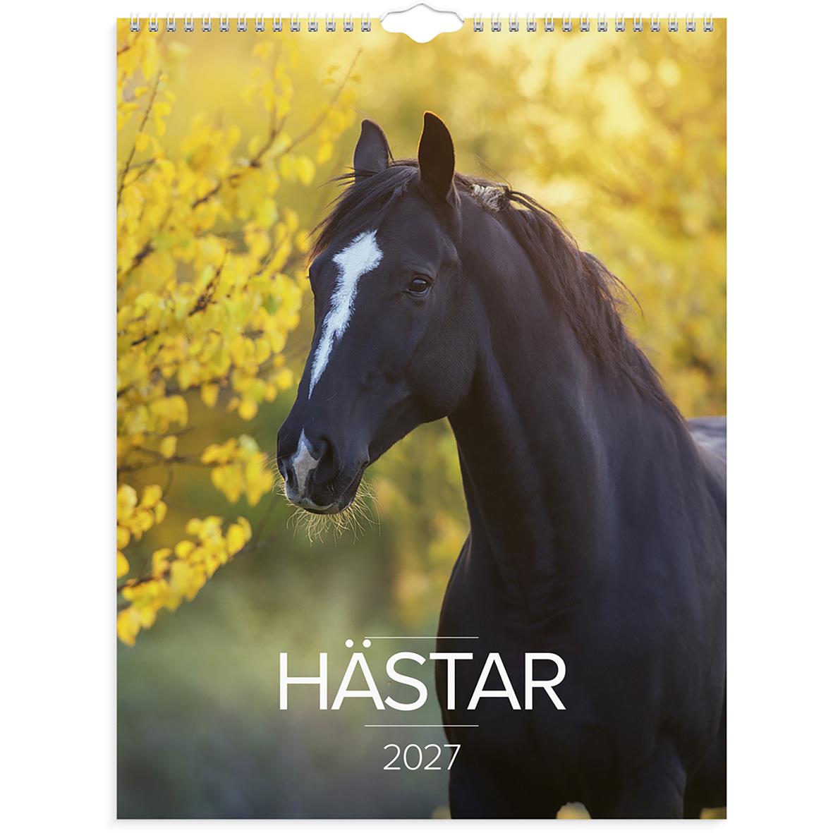 Väggkalender med hästmotiv för 2026, visar en brun häst i naturen