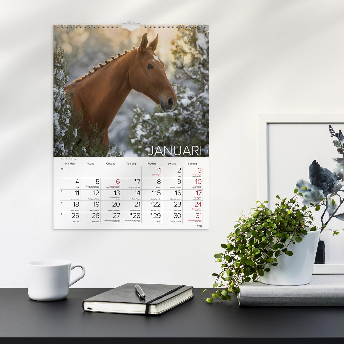 Väggkalender med bild av springande häst i höstfärger för 2026