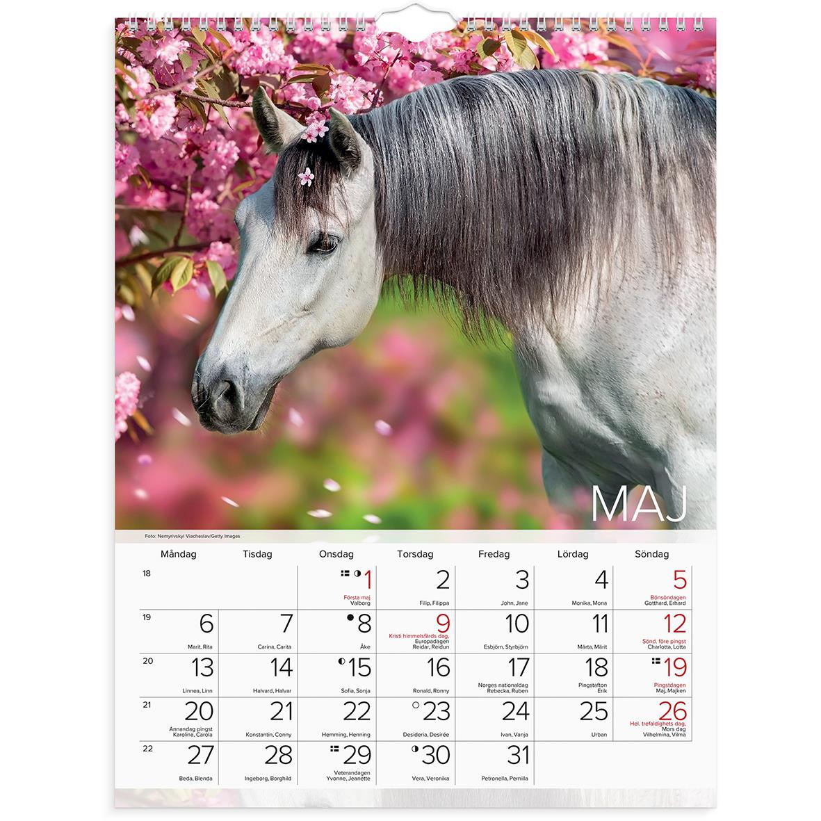Väggkalender Burde 1776 Hästar 2024 16030231_2