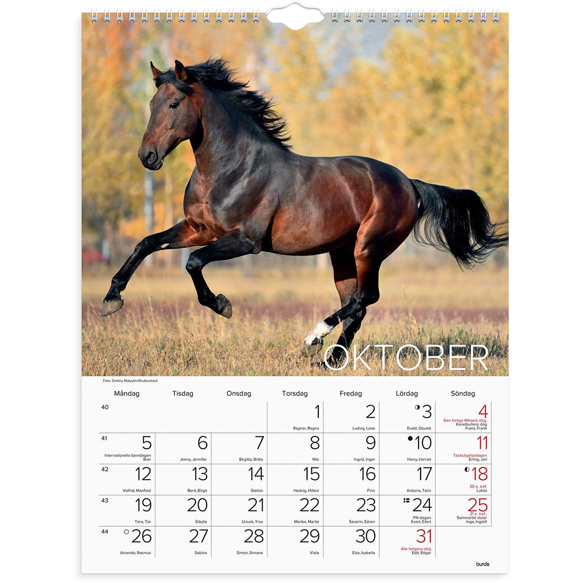 Väggkalender med bild av springande häst i höstfärger för 2026