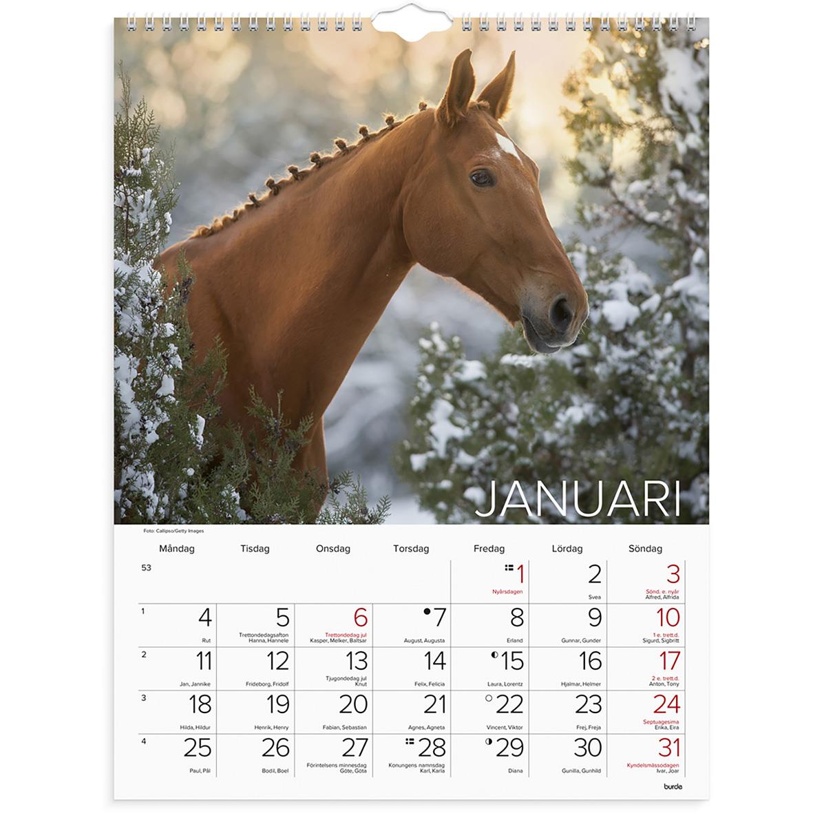 Väggkalender med bilder av hästar för 2026