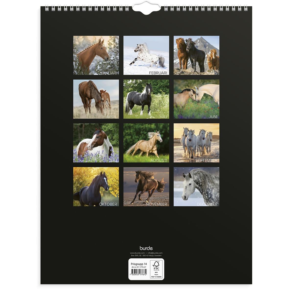 Väggkalender med hästmotiv för september 2026 på en vit vägg