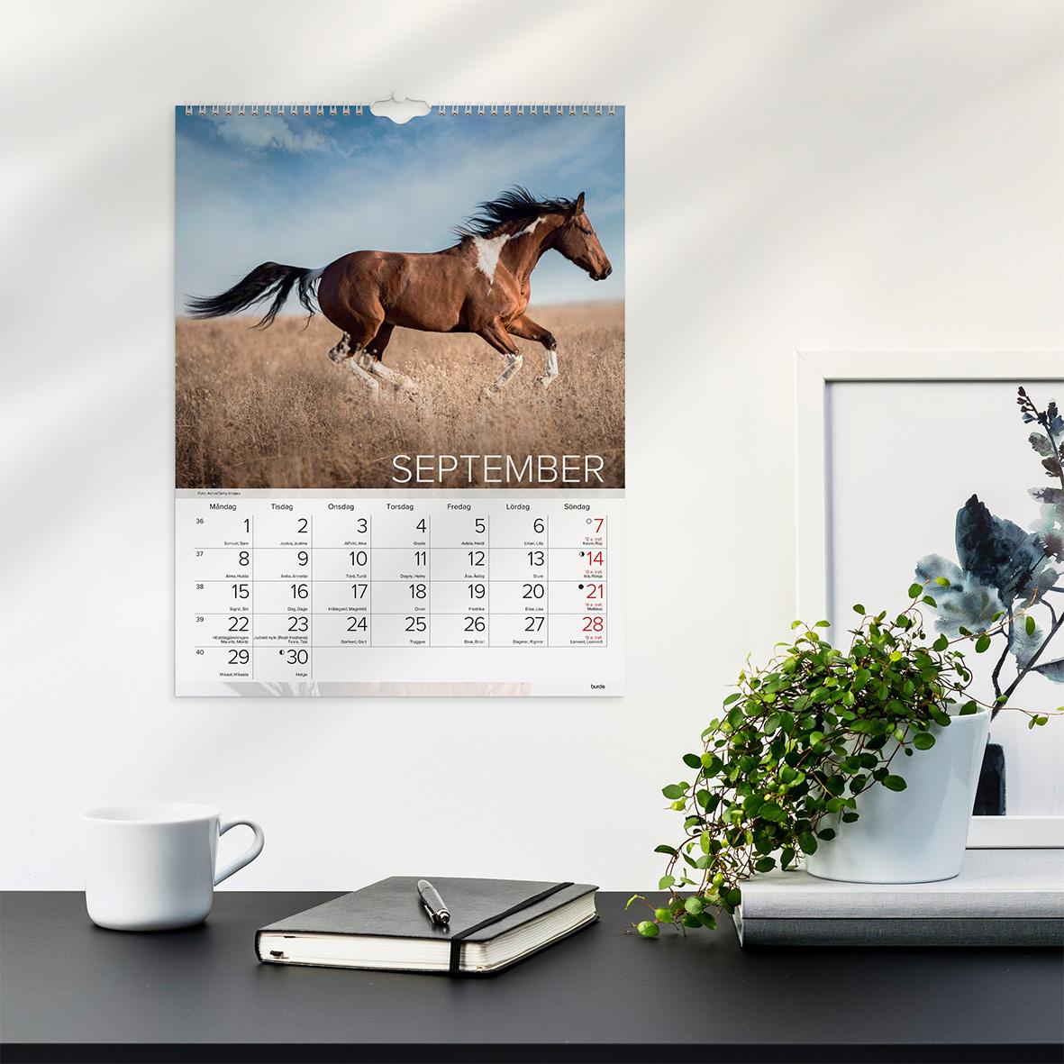 Väggkalender med hästmotiv för september 2026 på en vit vägg