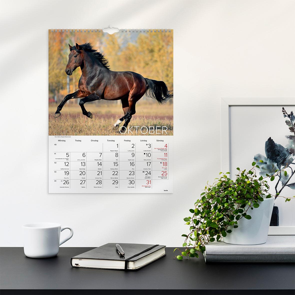 Väggkalender med hästmotiv för 2026, visar en galopperande häst mot en höstlig bakgrund