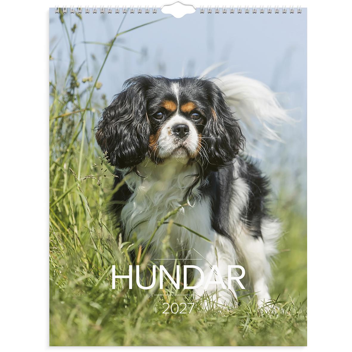 Väggkalender med hundbild för 2026, visar en glad hund med svart, vit och brun päls mot en höstlig bakgrund