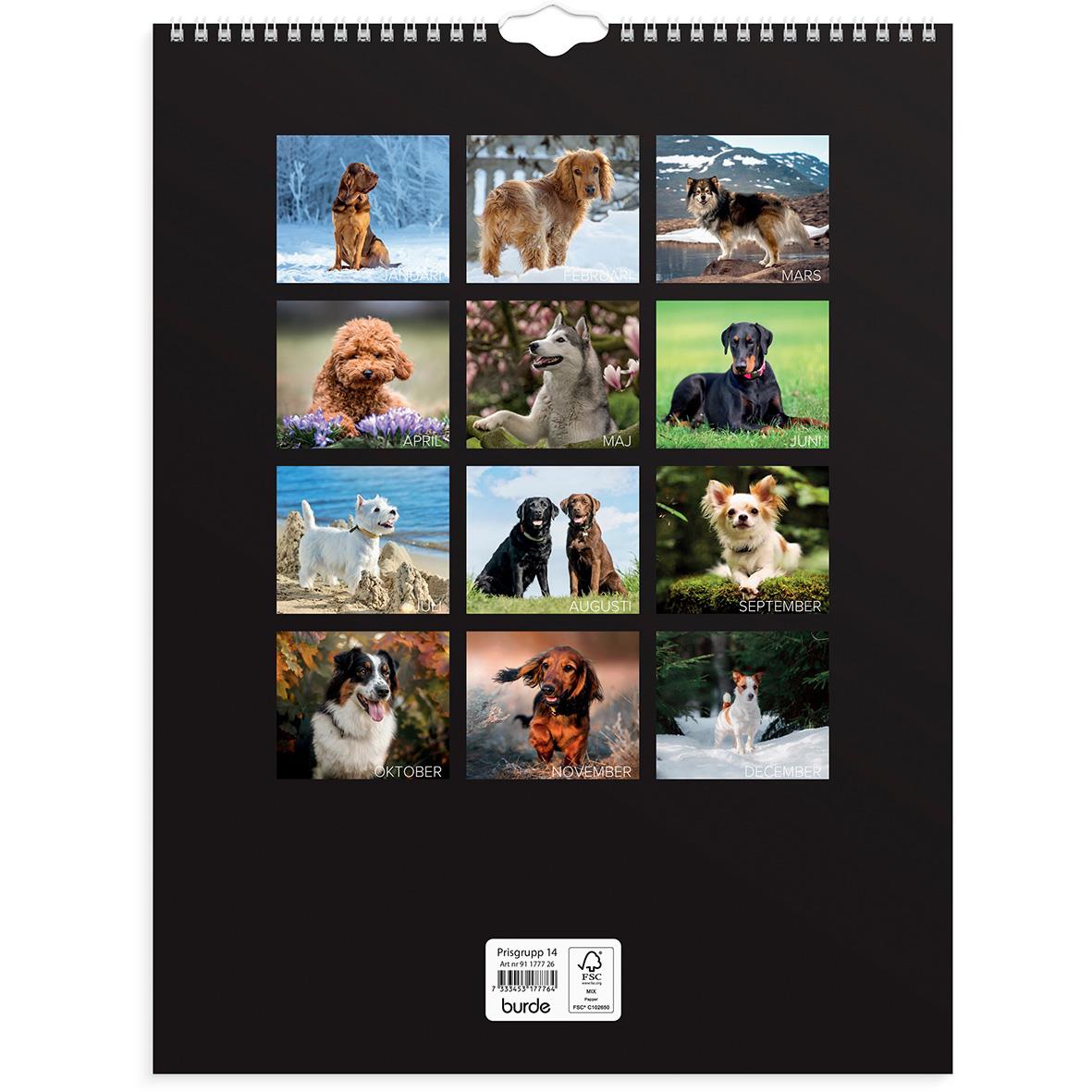 Väggkalender med hundbilder för 2026, visar olika hundraser i naturen och hemma.