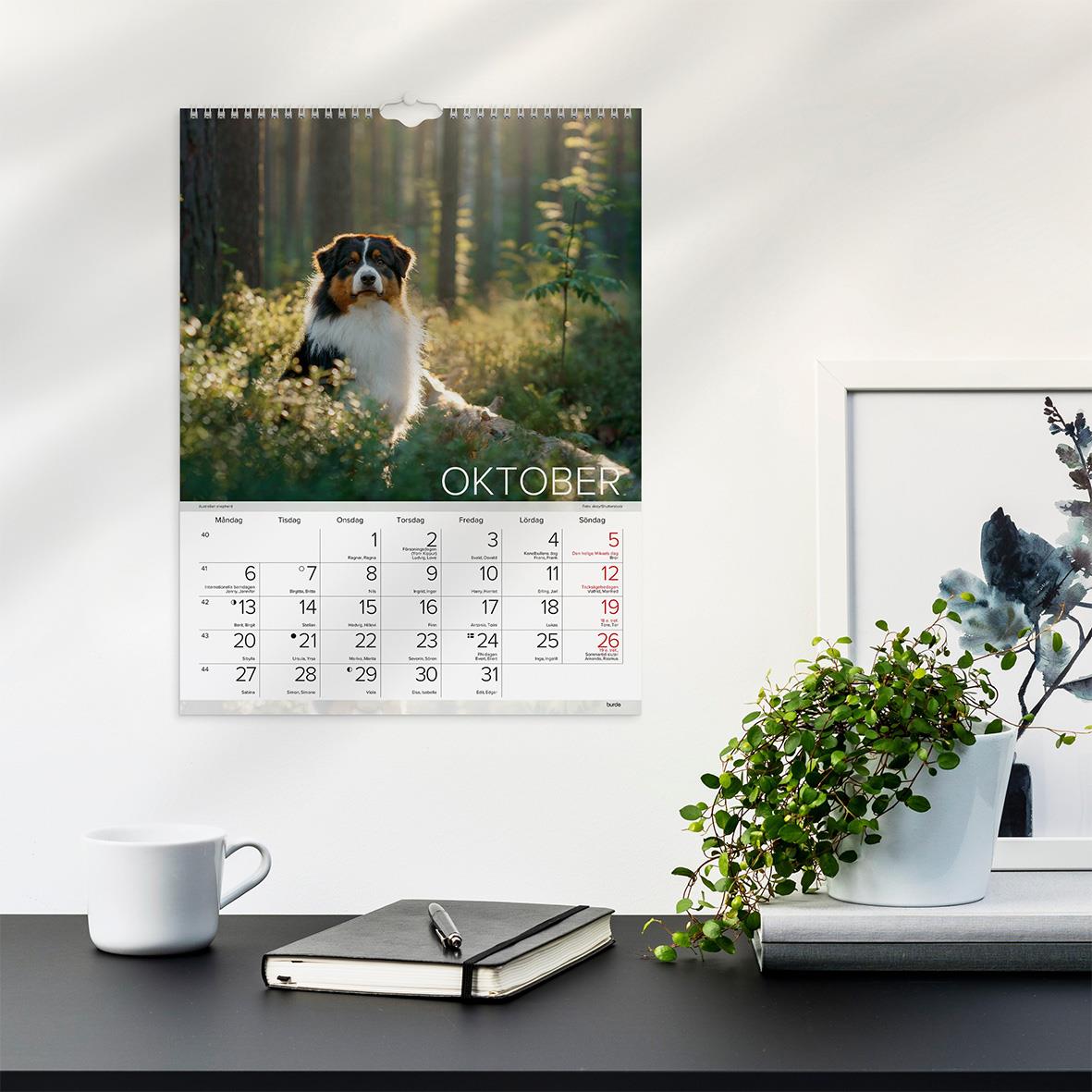 Väggkalender med hundmotiv för oktober 2026 på en vit vägg ovanför ett skrivbord med växter och anteckningsbok