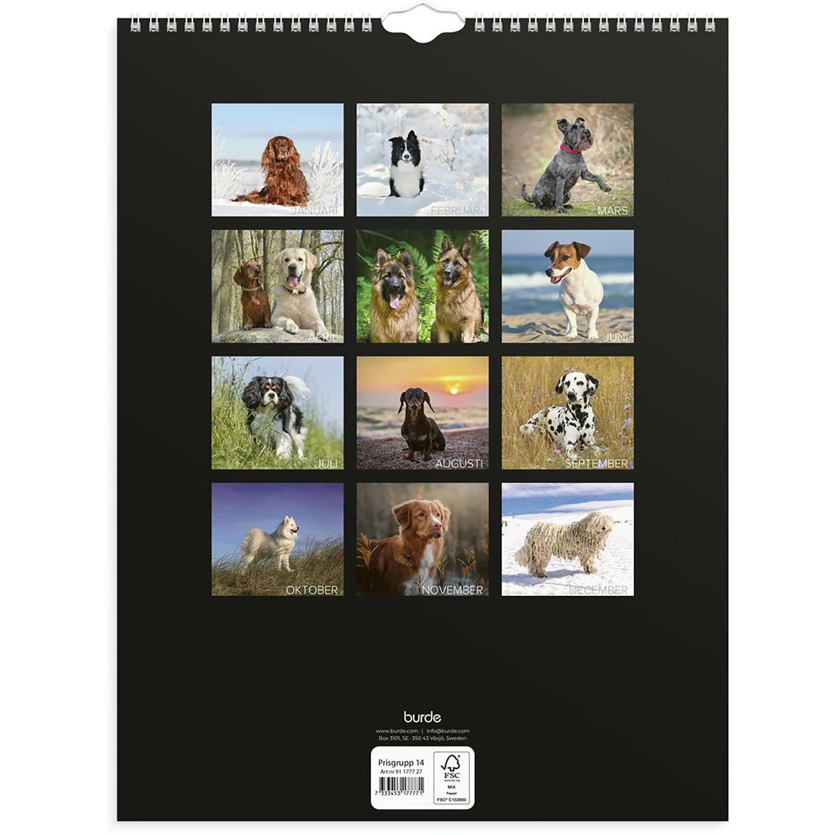 Väggkalender med hundmotiv för oktober 2026 på en vit vägg ovanför ett skrivbord med växter och anteckningsbok