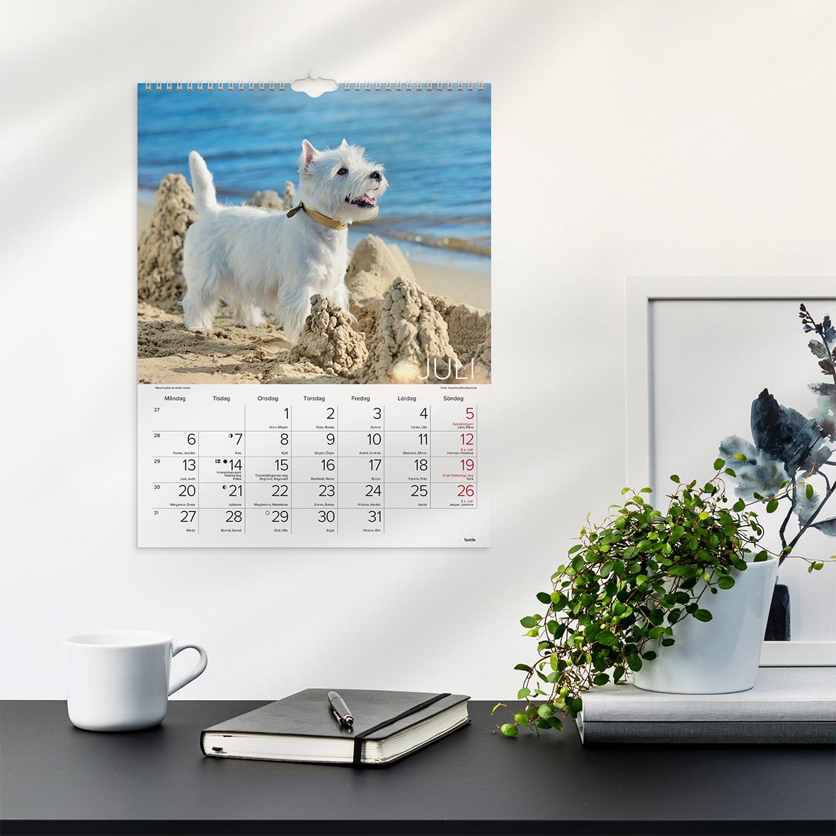 Väggkalender Burde 1777 Hundar 2026 16030232_5