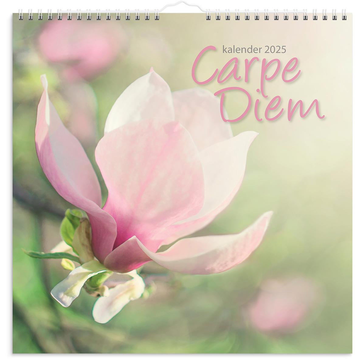 Väggkalender Burde 1721 Carpe Diem 2024