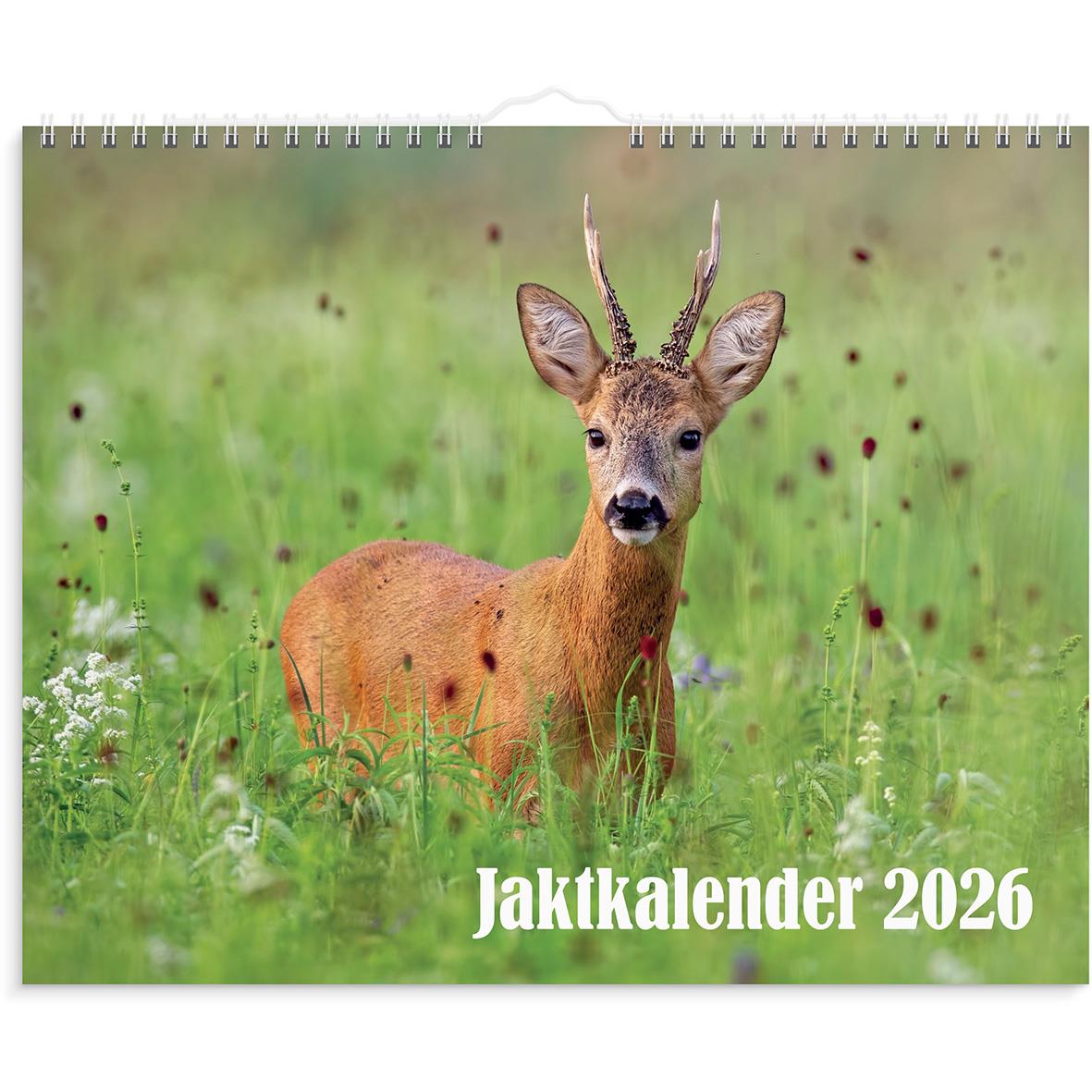 Väggkalender med bild av rådjur i gräsmark för jaktkalender 2026