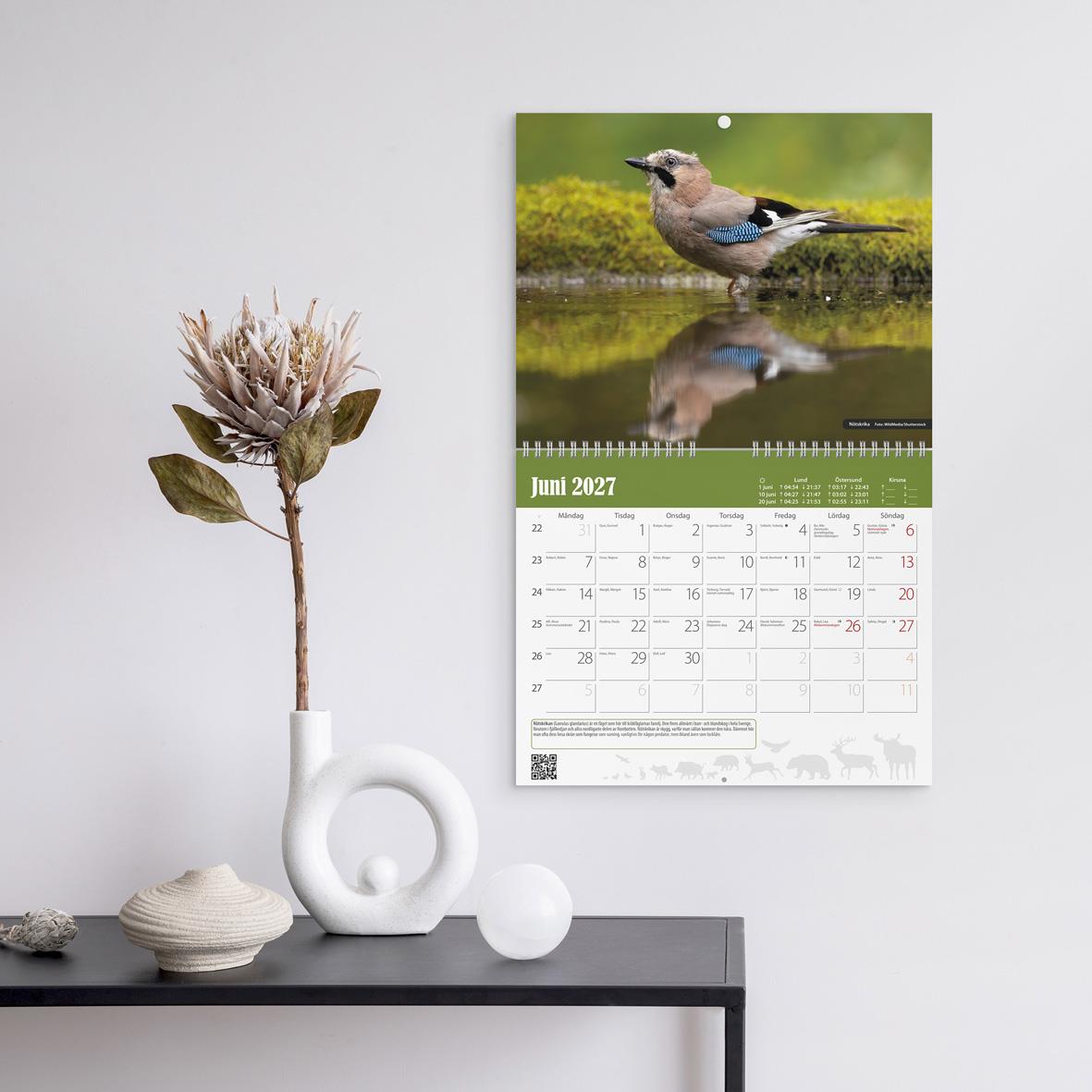 Väggkalender med bild av vildsvin i skogsmiljö för maj 2026