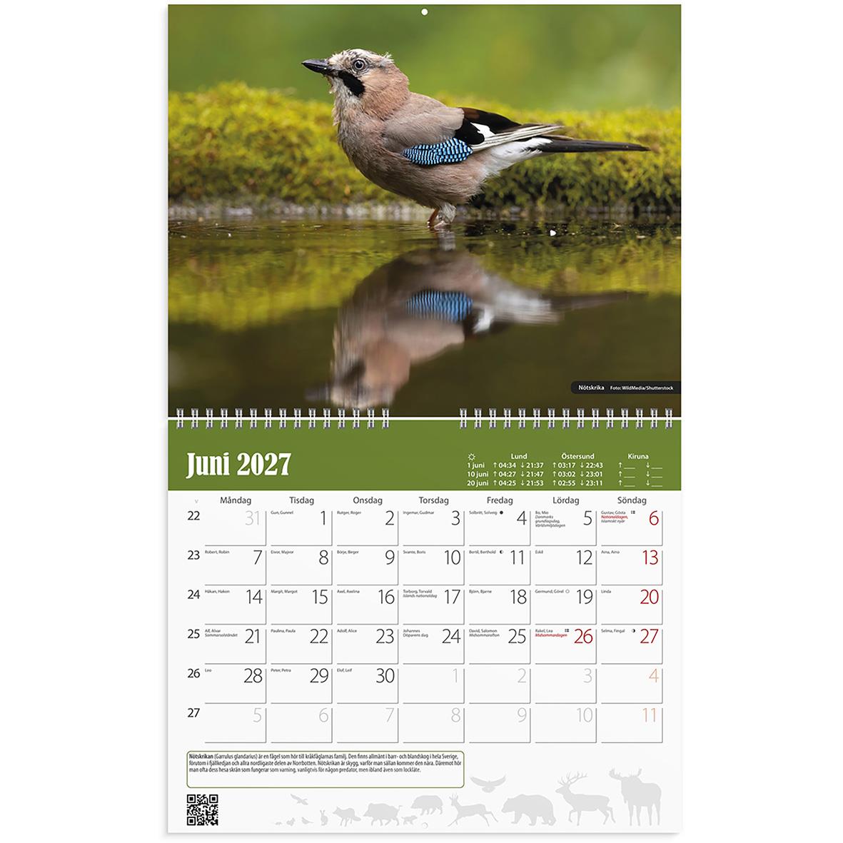 Väggkalender Burde 1738 Jaktkalender 2026 med bilder av olika djur och naturmotiv