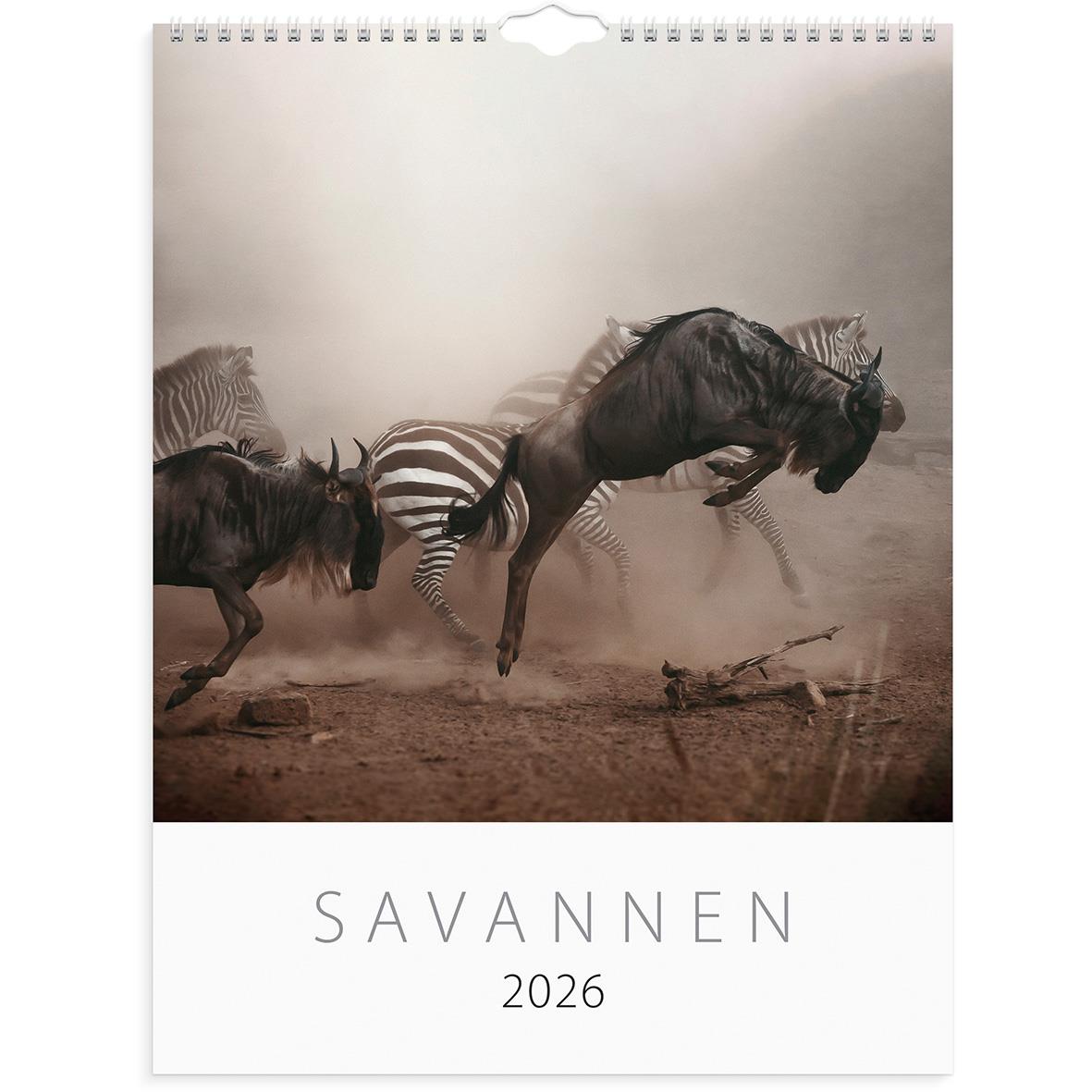Väggkalender med bild av springande zebror i savannen för 2026