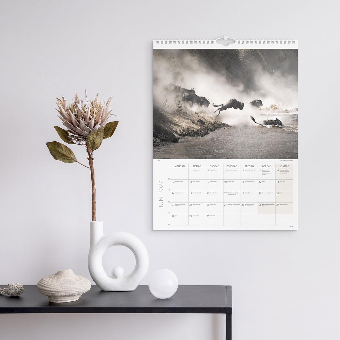 Väggkalender med elefanter i savannen för 2026