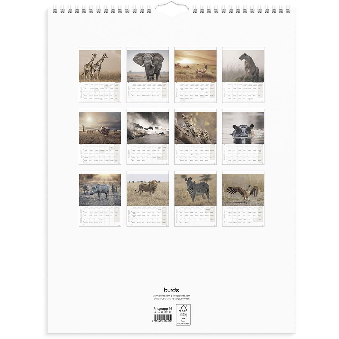 Väggkalender Burde 1761 Savannen för 2026 med bilder av savannlandskap och djur