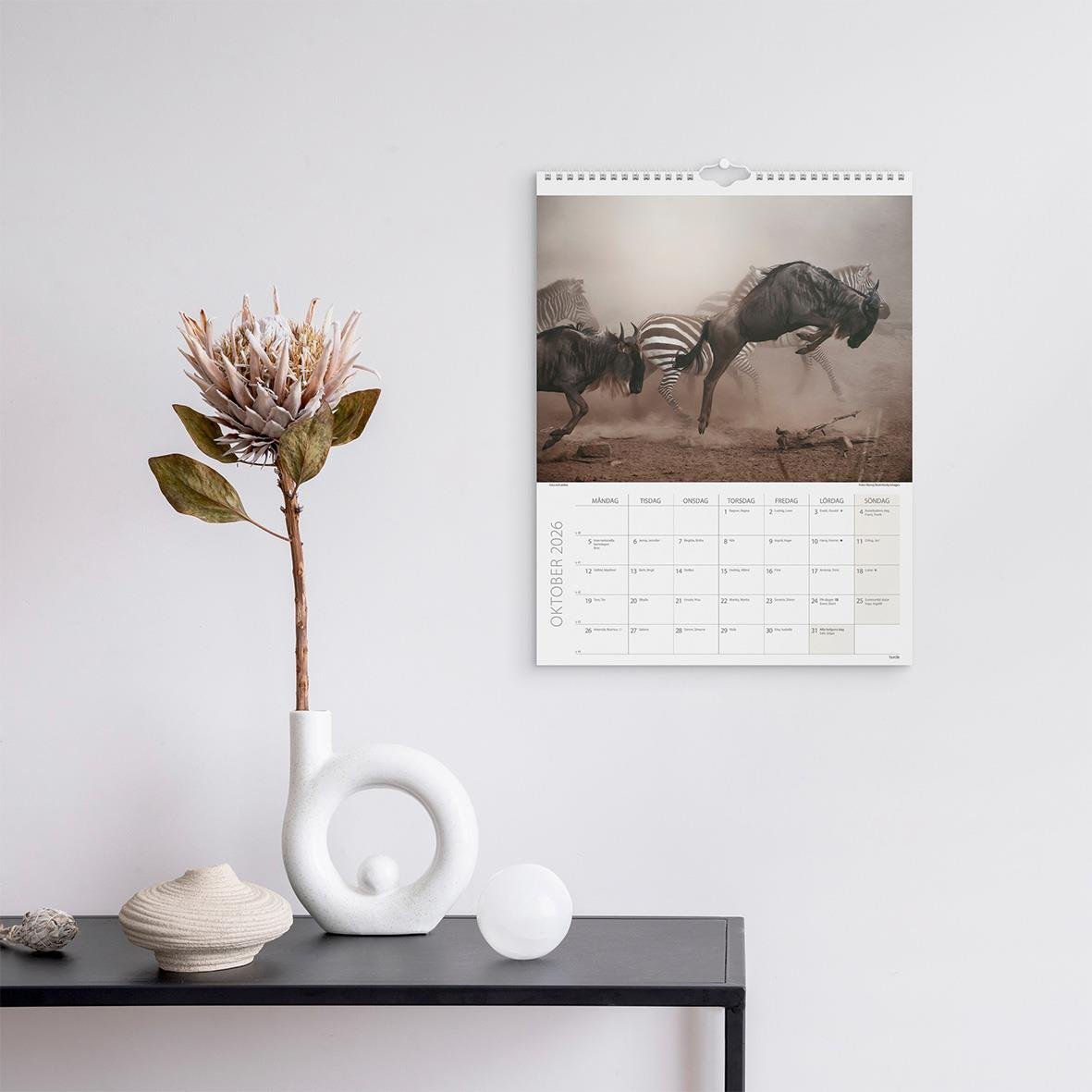 Väggkalender Burde 1761 Savannen 2026 med zebror på väggen