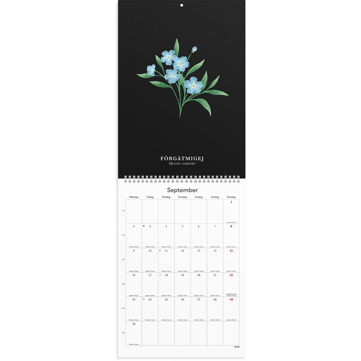 Väggkalender Burde 1799 Illustrerad Blomster 2024 A4 16118873_3