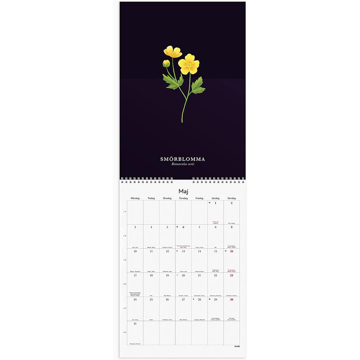 Väggkalender med illustrerade blommor för 2026, A4-format, svart bakgrund