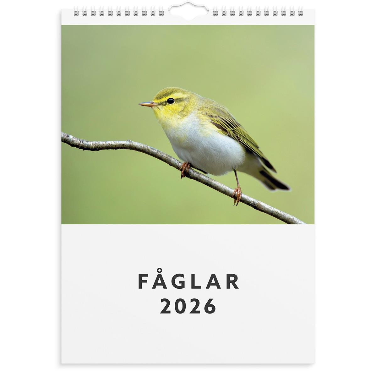 Väggkalender med fågelbild för 2026, visar en liten gul fågel på en gren