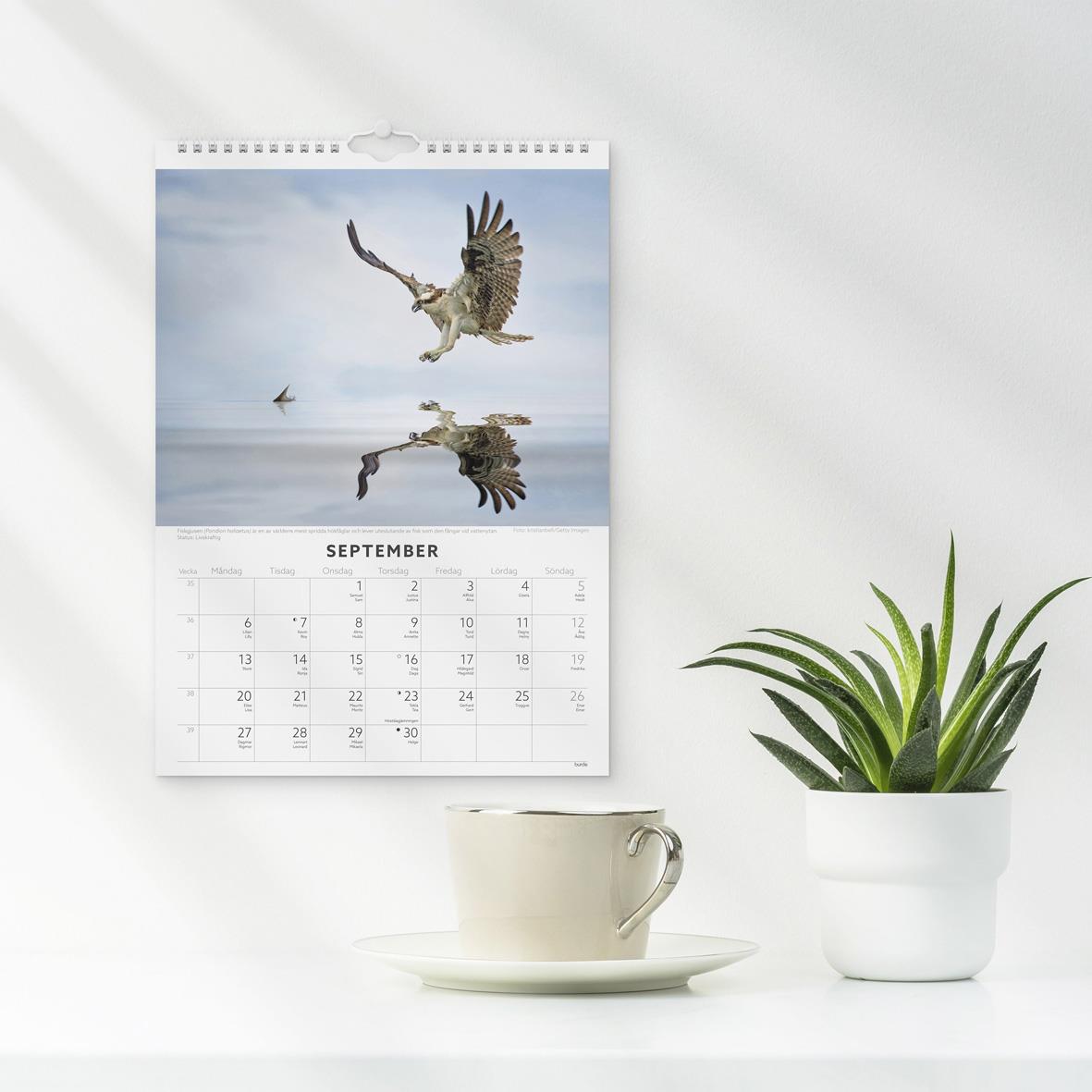 Väggkalender med fågelbild för september 2026, visar en fågel i vattnet med droppar på näbben
