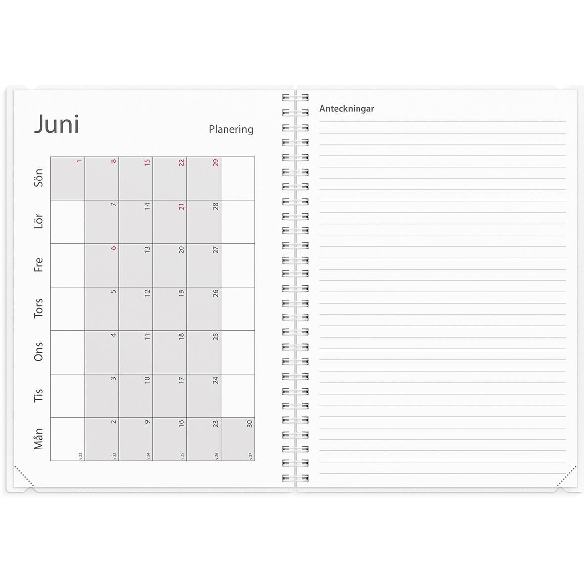Översikt av en kalender för juni med planeringssektion för anteckningar