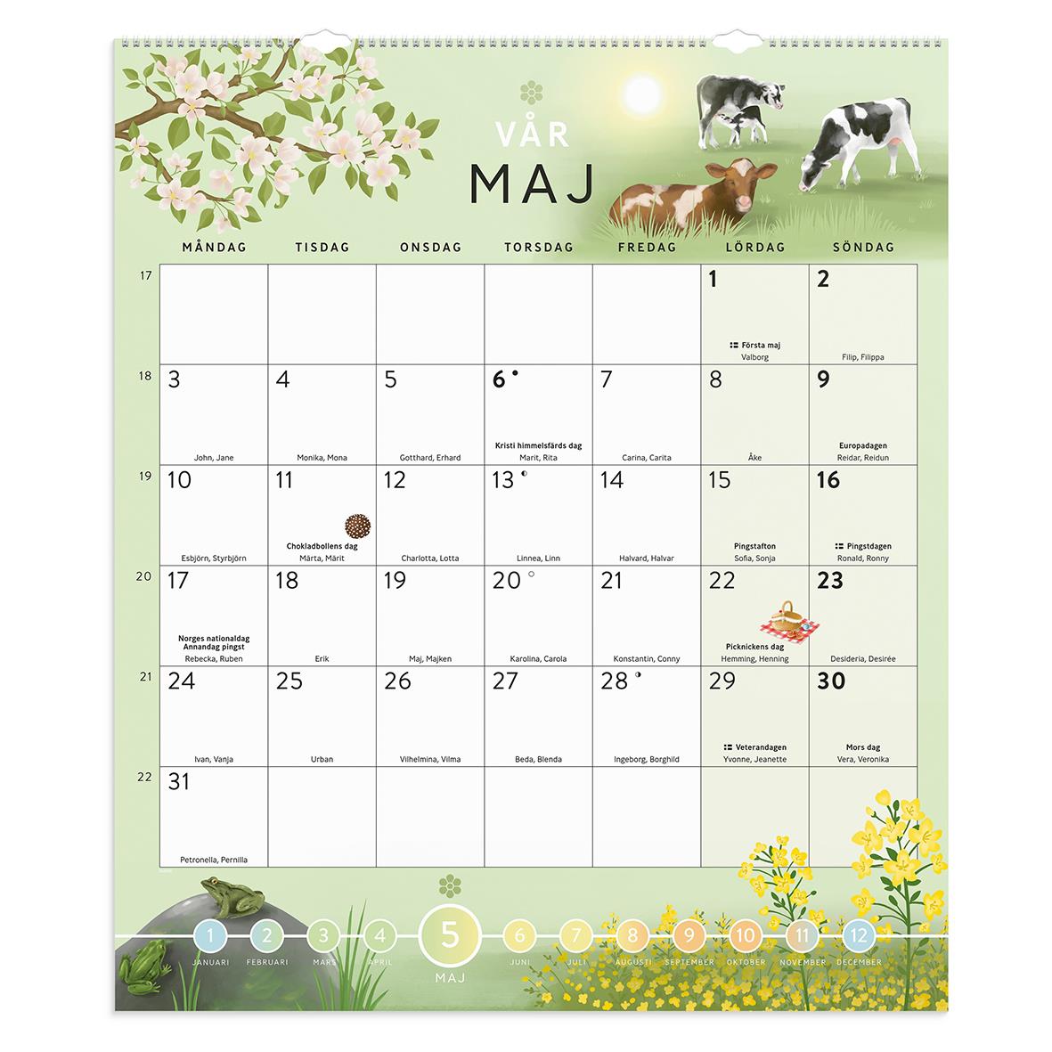 Klassrumskalender för maj månad med bilder av kor och blommor, storlek 600x700mm