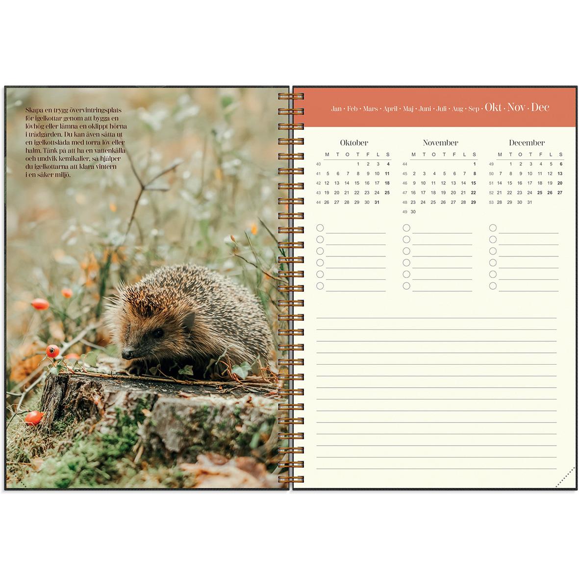 Hedgehog på en stubbe i naturen med kalender för 2026 i A5-format