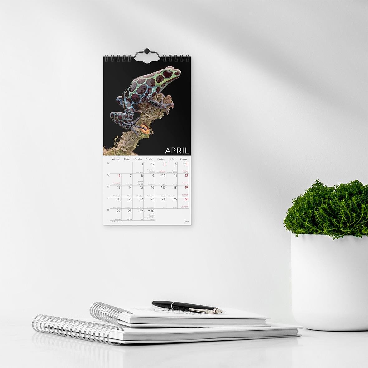 Väggkalender med vilddjur från 2026, visar en groda på en svart bakgrund för april