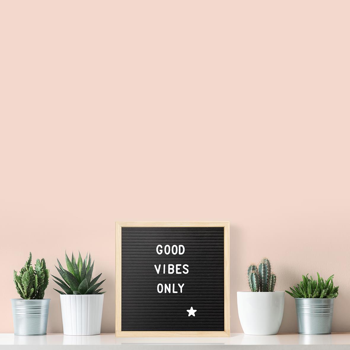 Bokstavstavla med ordet GOOD VIBES ONLY och små växter i vita krukor på en hylla