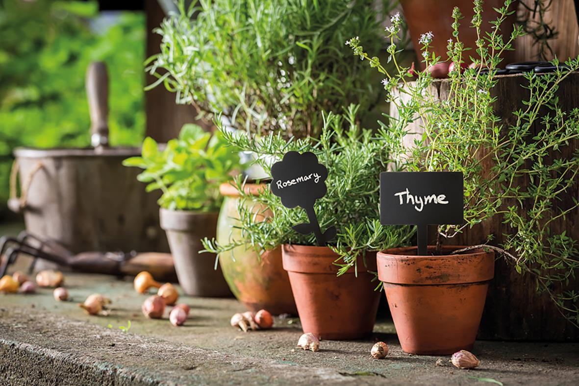 Svart rektangulär skylt med texten Thyme och Rosemary i krukor på en träbord