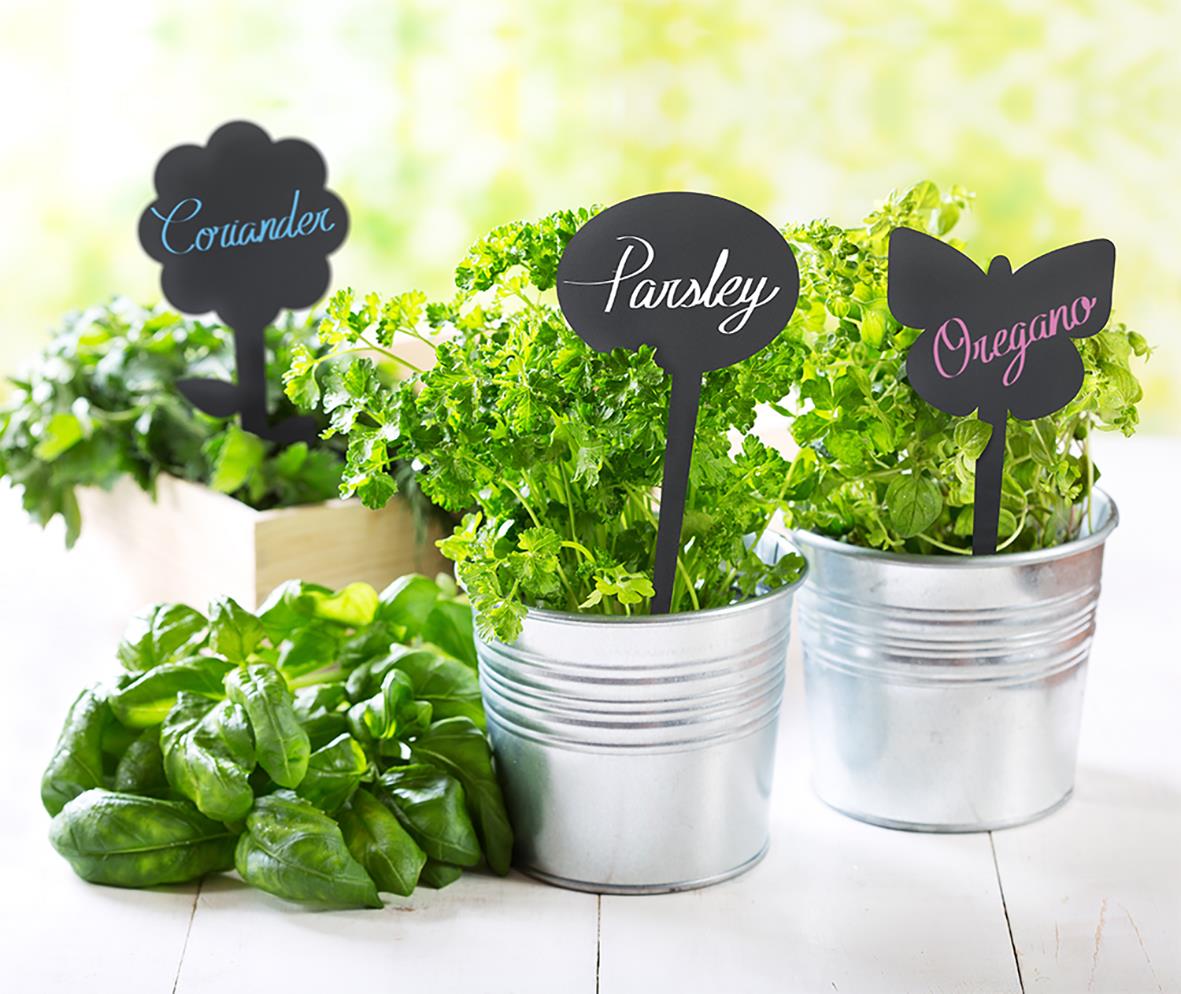 Två små metallkrukor med gröna örter och svarta skyltar med vita texter för kryddnamn