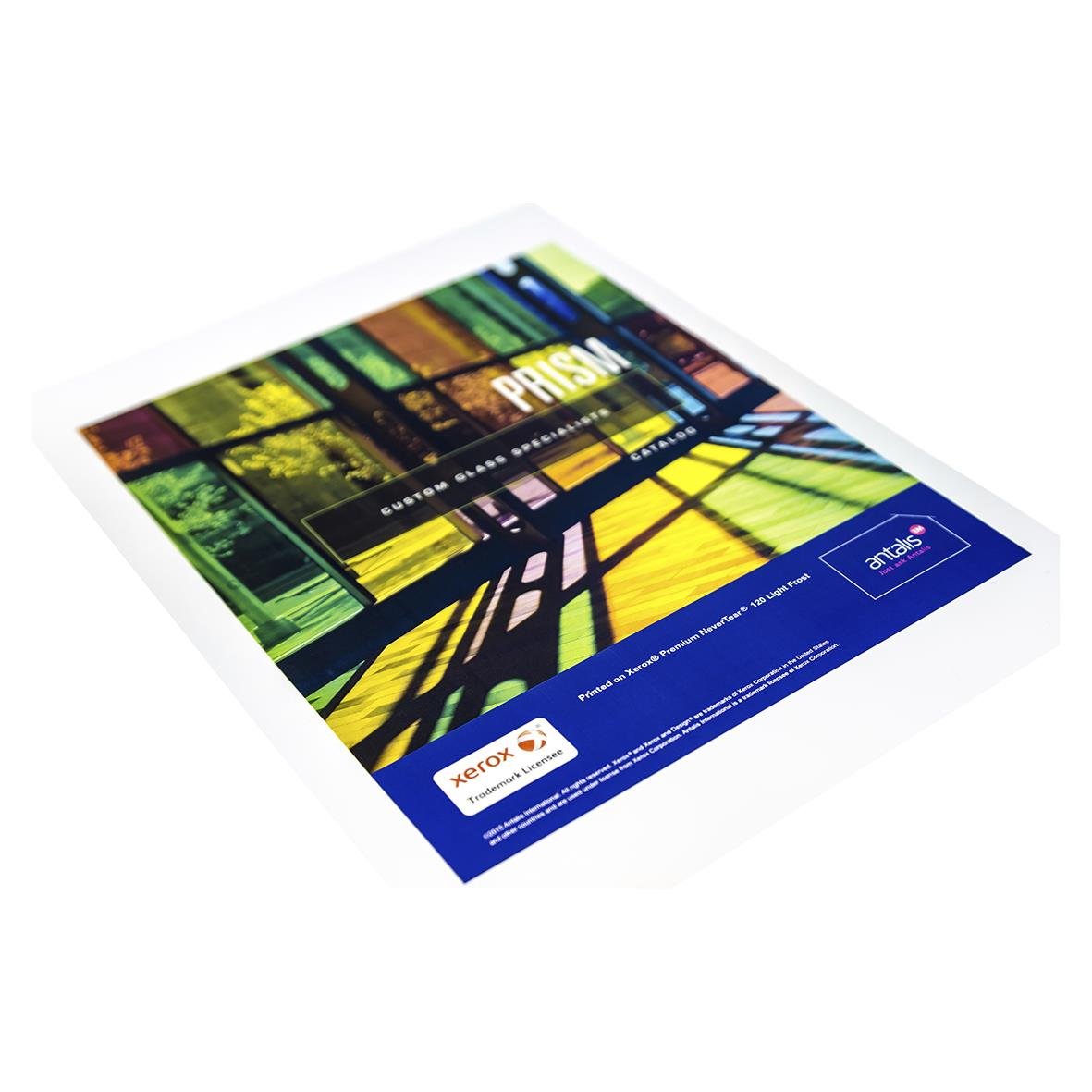 Allvädersfilm Xerox Never Tear 95my Light Frost A4 för kopiering och utskrift