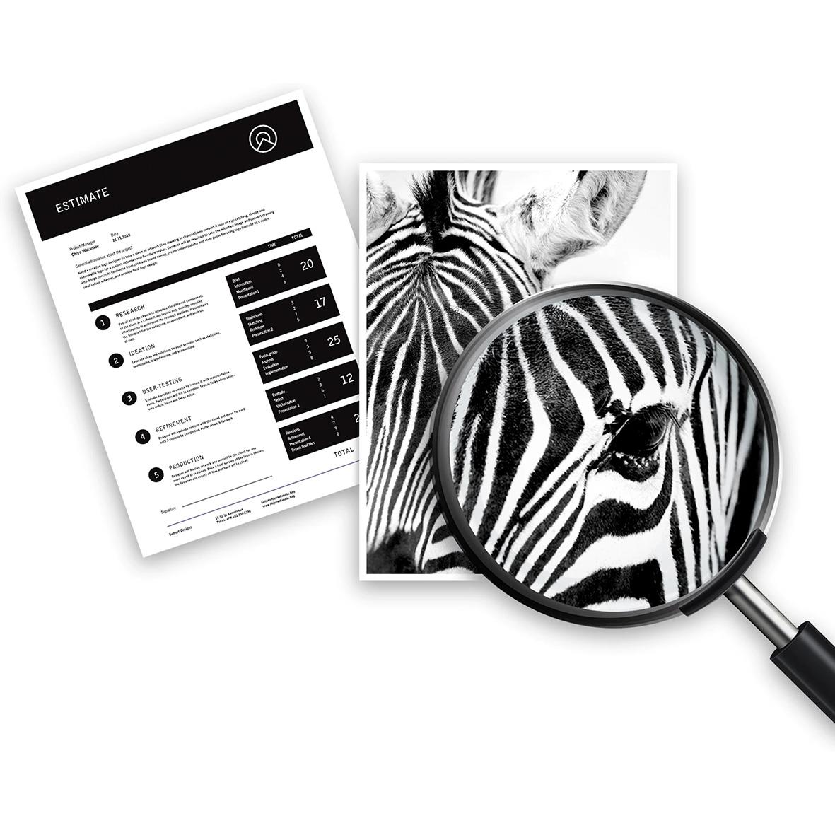 Toner Collection Unit Kit HP CE980A med utskriftsdokument, zebra- och magnifying glass med zebra-mönster