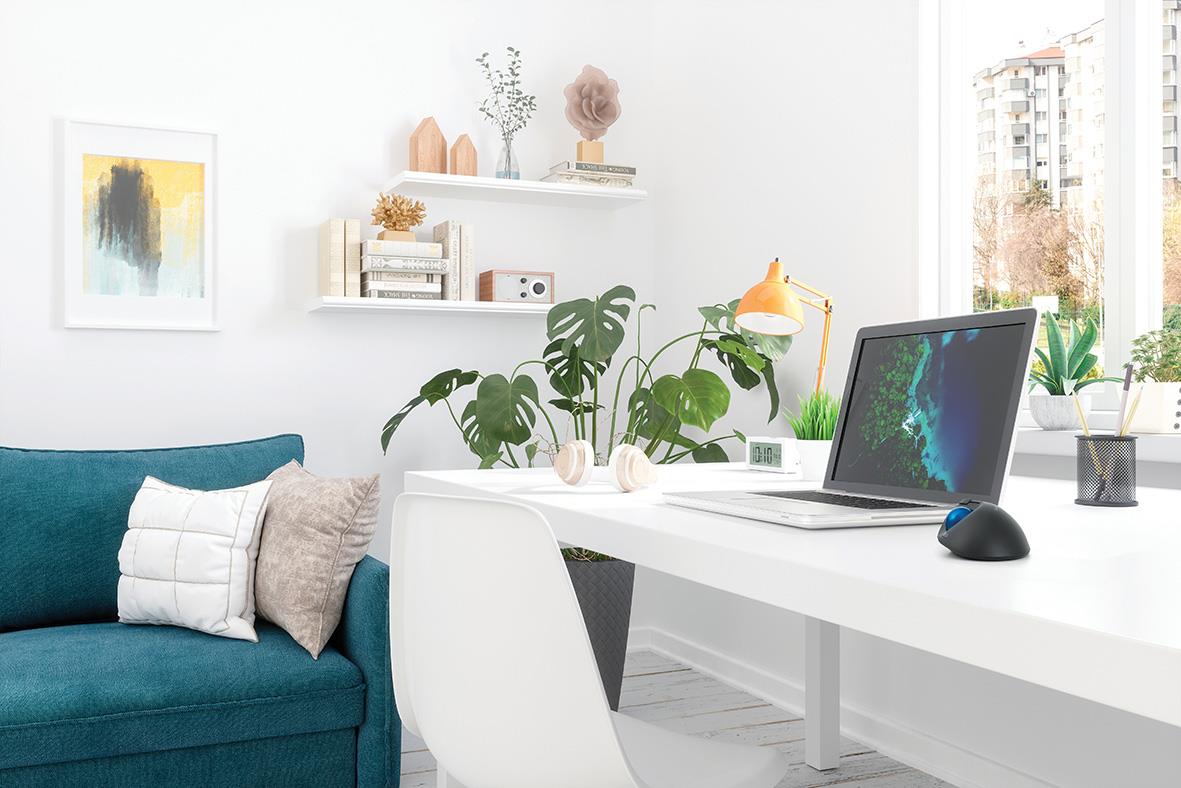 Arbetsplats med mus Kensington ProFit Ergo TB450 trackball, laptop, växter och inredning i ett ljust rum