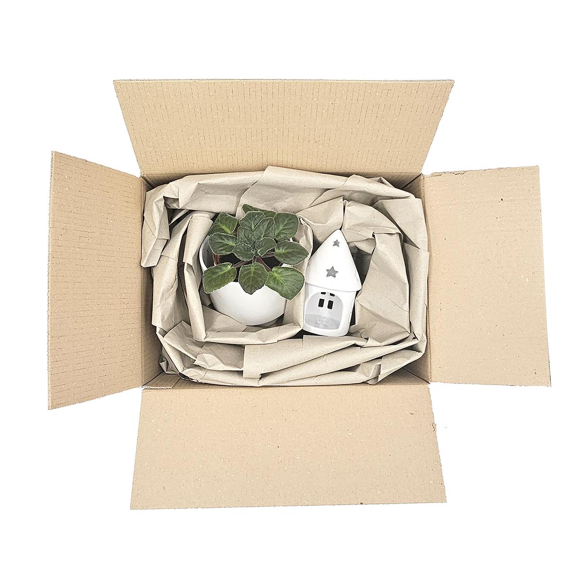 Refil fyllnadspapper NPA för dispenser, 450m, 70g, i öppen kartong med växt och liten lykta